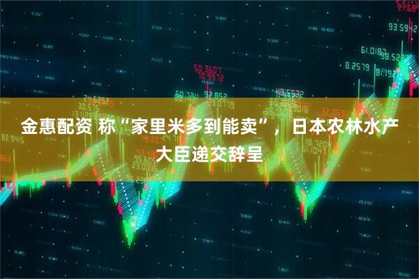 金惠配资 称“家里米多到能卖”，日本农林水产大臣递交辞呈