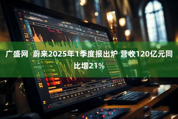 广盛网  蔚来2025年1季度报出炉 营收120亿元同比增21%