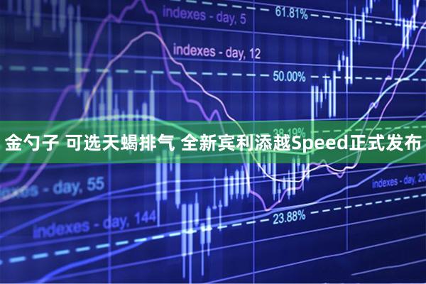 金勺子 可选天蝎排气 全新宾利添越Speed正式发布