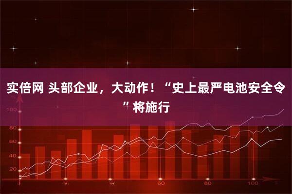 实倍网 头部企业，大动作！“史上最严电池安全令”将施行