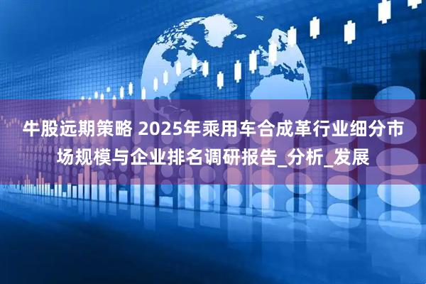 牛股远期策略 2025年乘用车合成革行业细分市场规模与企业排名调研报告_分析_发展
