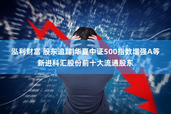 泓利财富 股东追踪|华夏中证500指数增强A等新进科汇股份前十大流通股东