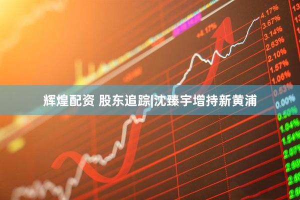 辉煌配资 股东追踪|沈臻宇增持新黄浦