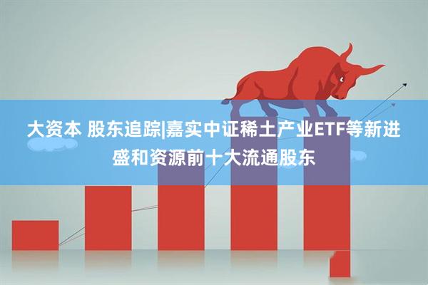 大资本 股东追踪|嘉实中证稀土产业ETF等新进盛和资源前十大流通股东