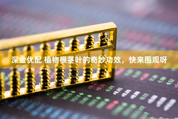 深金优配 植物根茎叶的奇妙功效，快来围观呀