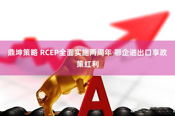 鼎坤策略 RCEP全面实施两周年 鄂企进出口享政策红利