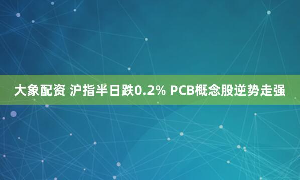 大象配资 沪指半日跌0.2% PCB概念股逆势走强
