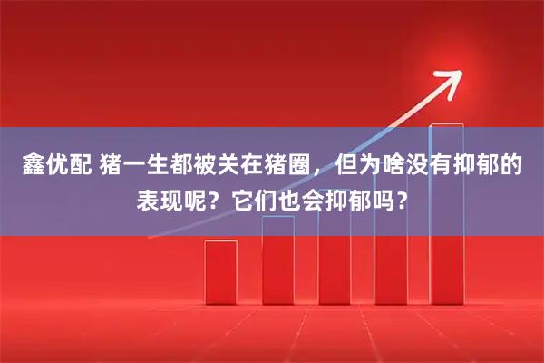 鑫优配 猪一生都被关在猪圈，但为啥没有抑郁的表现呢？它们也会抑郁吗？