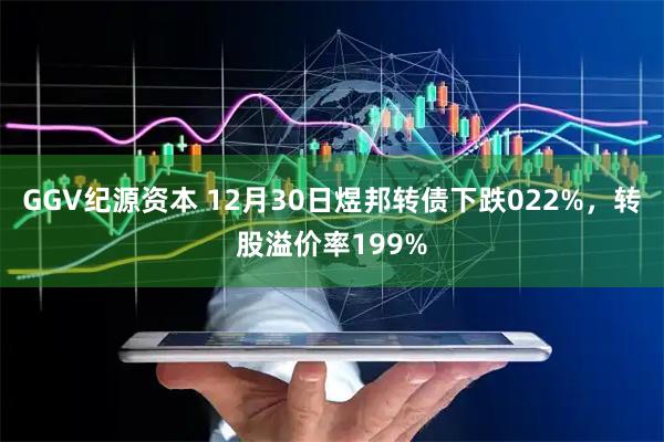 GGV纪源资本 12月30日煜邦转债下跌022%，转股溢价率199%